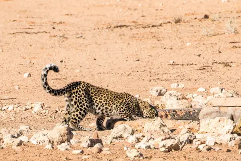 201710291IMG_9549.jpg