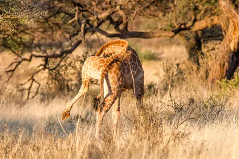 201711101IMG_0872.jpg
