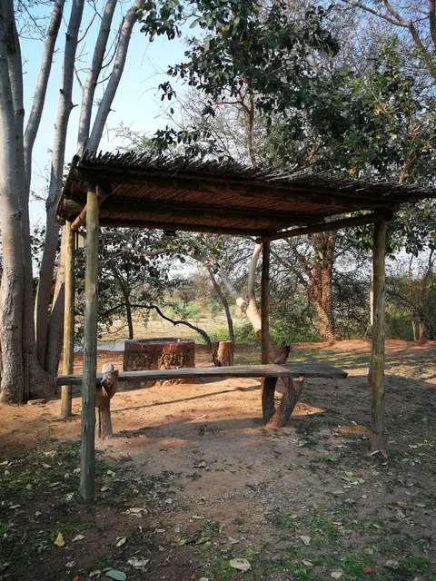 Camp_1.jpg