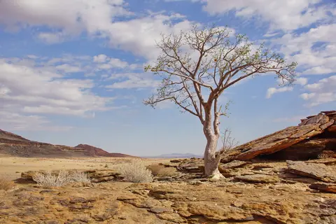 namibia-2019-05-1510-27-08_1.jpg