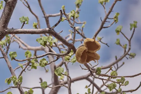namibia-2019-05-1510-39-35.jpg