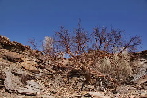namibia-2019-05-1512-12-07.jpg