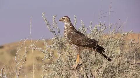 namibia-2019-05-2613-54-25.jpg