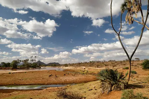 1_F1A0313_1.jpg