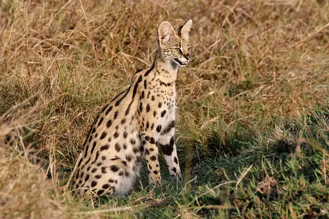 23_FR_9733_1112.jpg