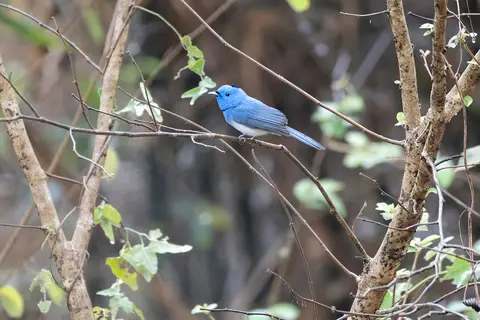 26_1034158-DxO_DeepPRIMEXD3_47.jpg