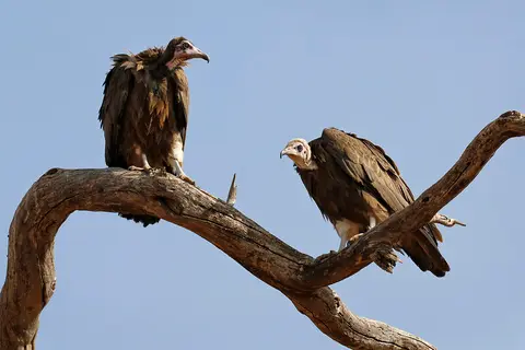 3_FR_4003_2.jpg