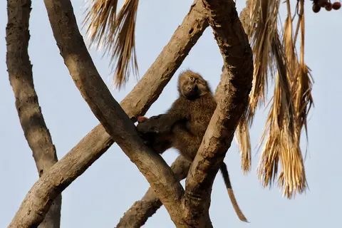 3_FR_4467.jpg