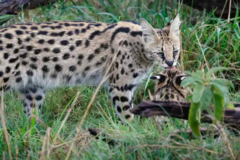 5a_FR_8278(2)_11.jpg