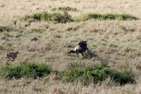 9_FR_4814_44112.jpg