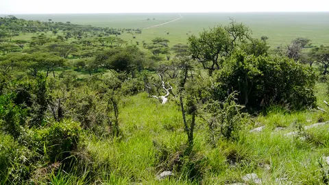 h2f7d052.jpg