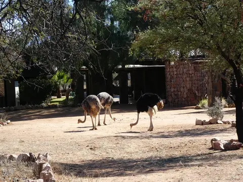 P1000892.jpg