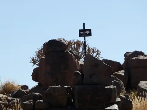 P1020340.jpg