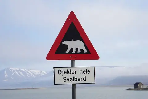 k-2018-08-01cStadtrundfahrtLongyearbyen12.JPG