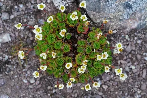 k-2018-08-04dAlicehamnaimRaudfjord30.JPG