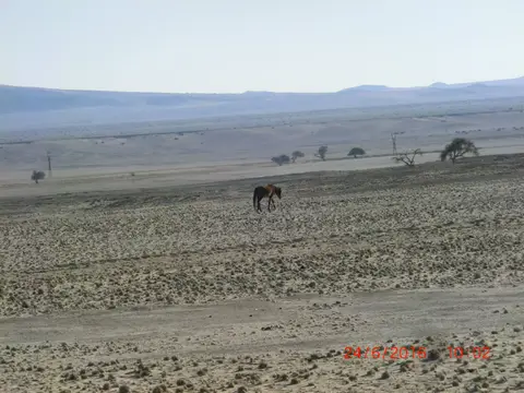 CIMG5559.JPG
