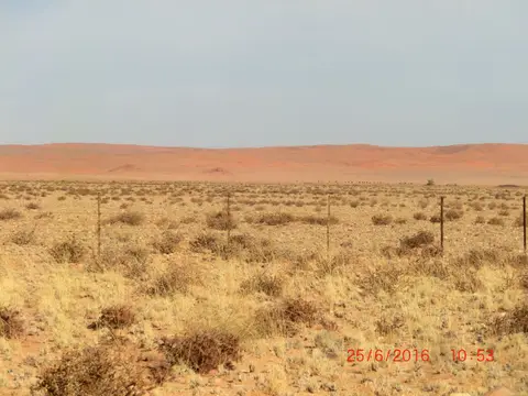 CIMG5696.JPG