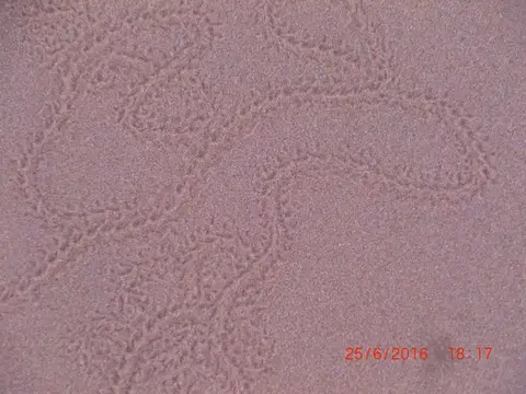 CIMG5767.JPG