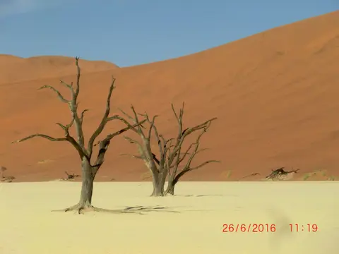 CIMG5851.JPG