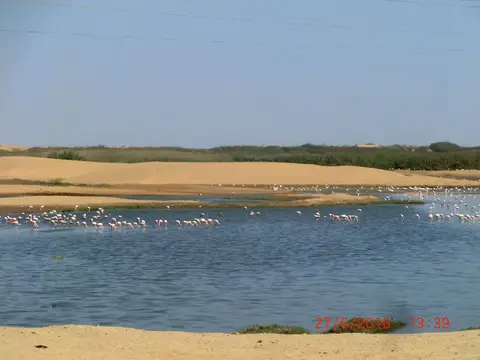 CIMG5963.JPG