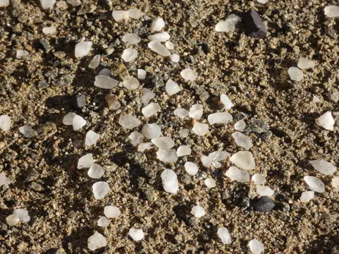 P1090327.JPG