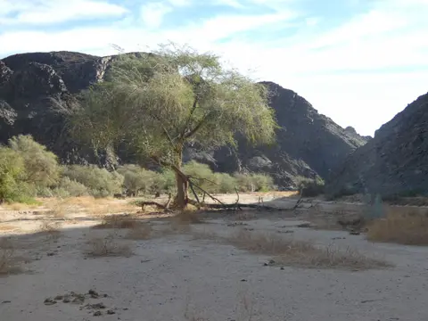 P1090418.JPG