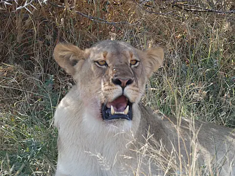 P1110344.JPG