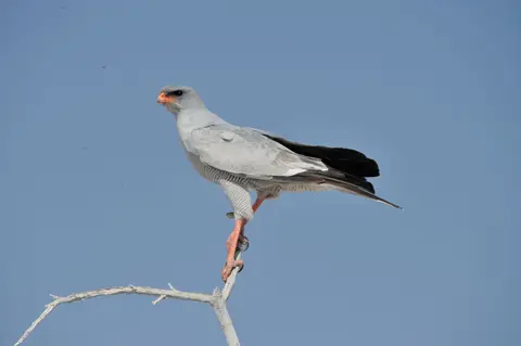 DSC_6074_024.JPG