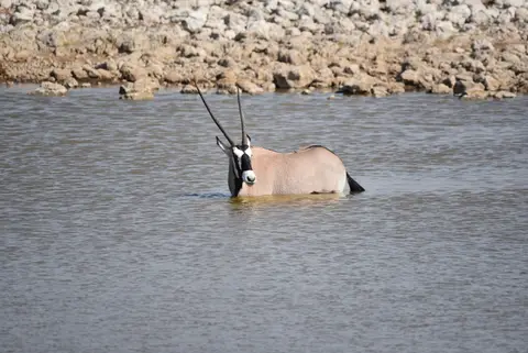 107.JPG