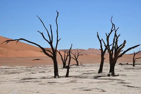 Vlei2.JPG