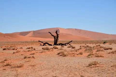 Vlei5.JPG