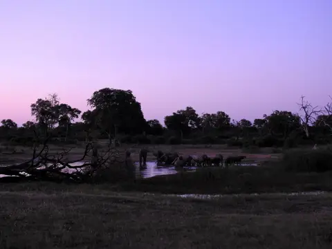 DSCN6429.JPG