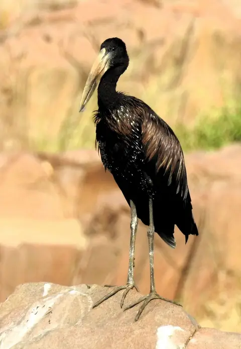 DSCN7428.JPG