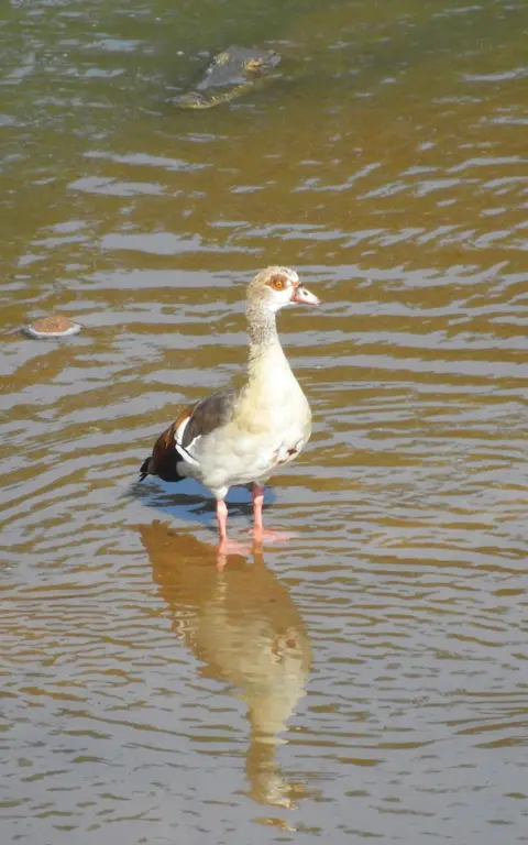 DSCN7547.JPG