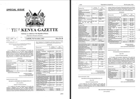Kenyavisa1.jpg