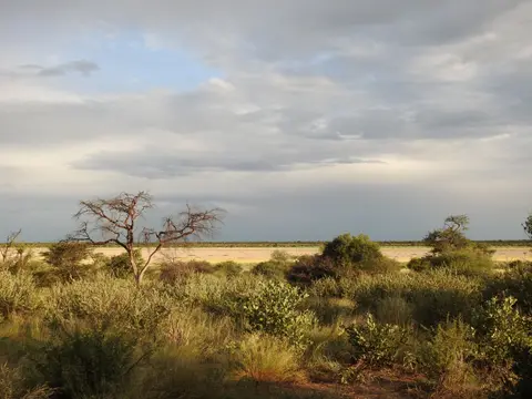 Moreswe2.JPG