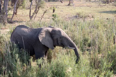 0H7A0303.jpg