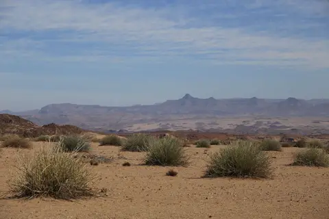 IMG_8881.JPG