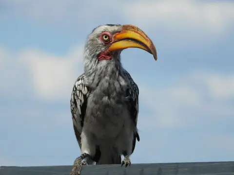 DSCN6349.JPG