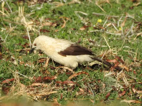 DSCN4677.JPG