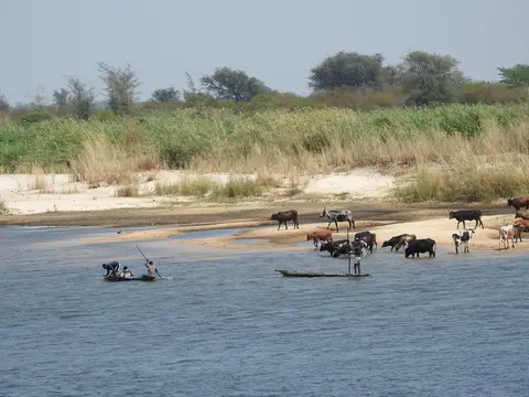k-241101(2)Zambezi.JPG