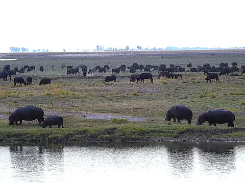 k-241104(109).JPG