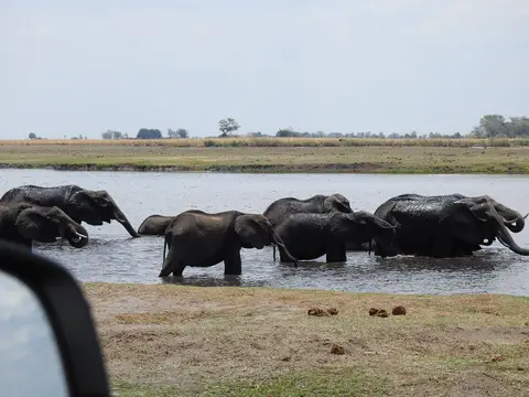 k-241104(61).JPG