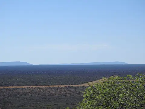k-241117(9).JPG