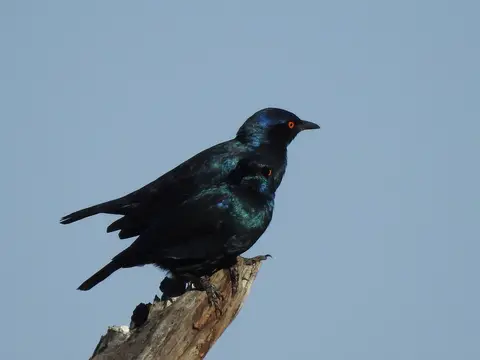 k-DSCN4676.JPG