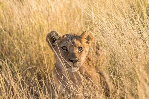 Botswana(253).jpg