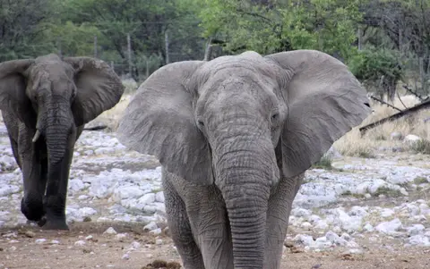 Namibia(3457).JPG