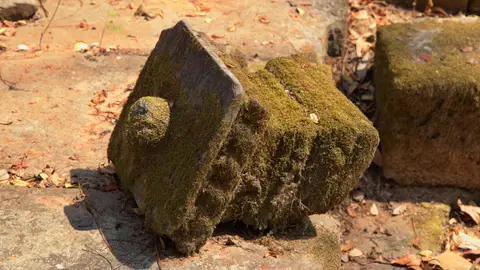 2020BangkokKambodscha2709.jpg