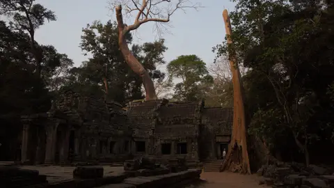 2020BangkokKambodscha3216.jpg