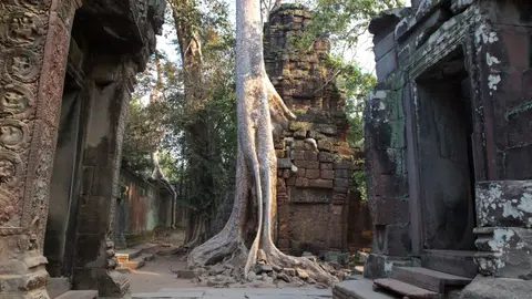 2020BangkokKambodscha3318.jpg
